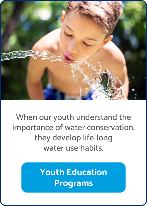 youth-education-image-link