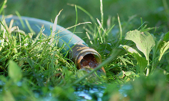 water-hose-and-backyard-lawn-cross-connection-risk